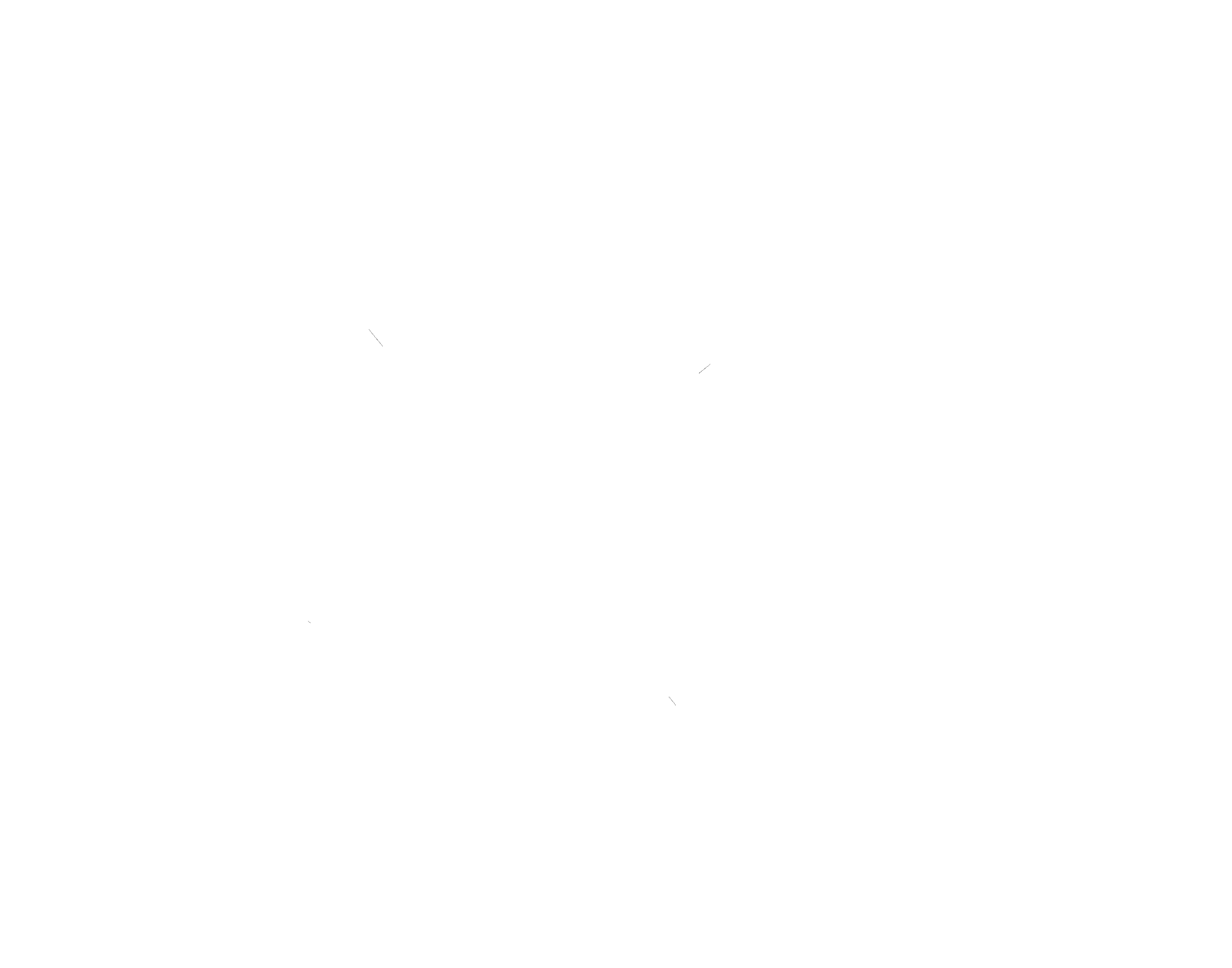 Siamo